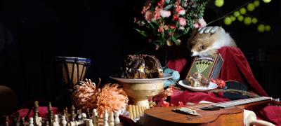 Herbstliches Stilllebenshooting 5A