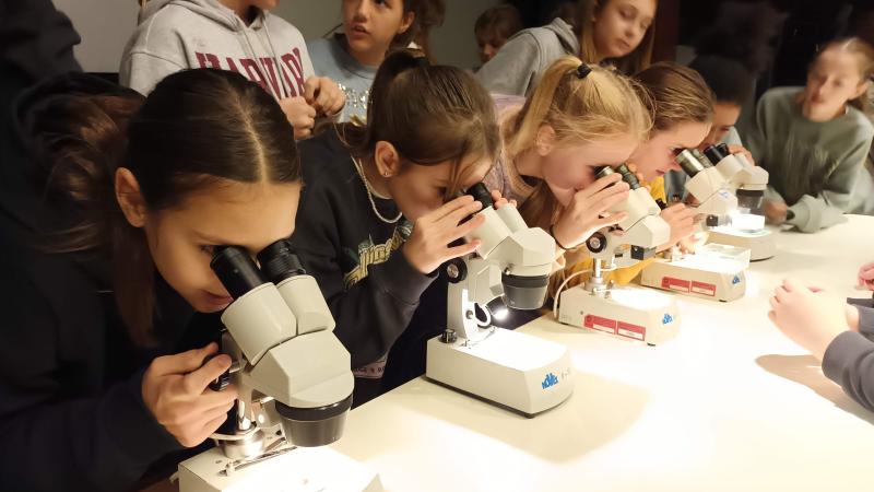 2B Mikrotheater im Naturhistorischen Museum