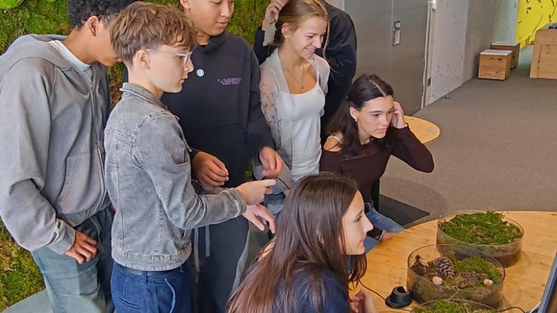 5D gewinnt 2. Preis beim Citizen Science Award