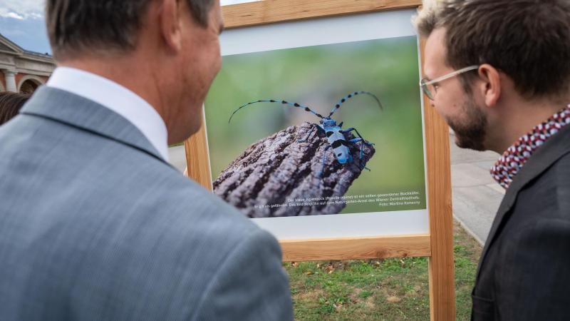 Größte Outdoor-Galerie Projekt BaF